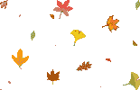 leaves.gif image by witchboy1962